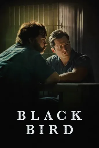 Black Bird (2022) poster