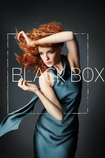 Black Box (2014) poster