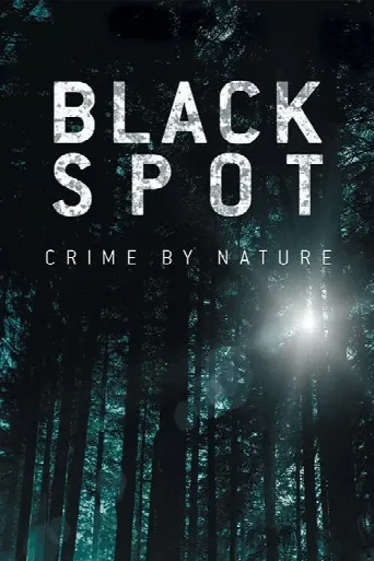 Black Spot (2017) poster
