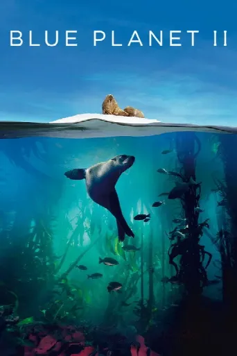 Blue Planet II (2017) poster