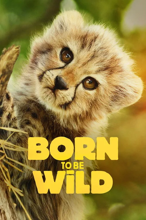 Born to Be Wild (2025) poster
