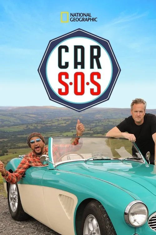 Car S.O.S. (2013) poster