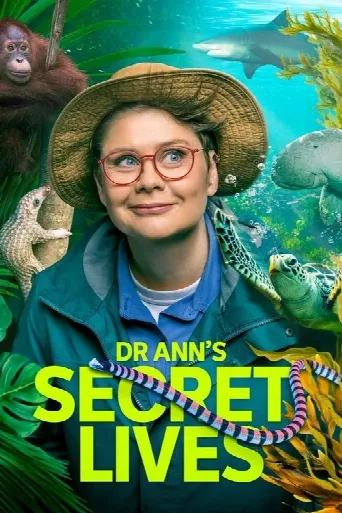 Dr Ann's Secret Lives (2025) poster