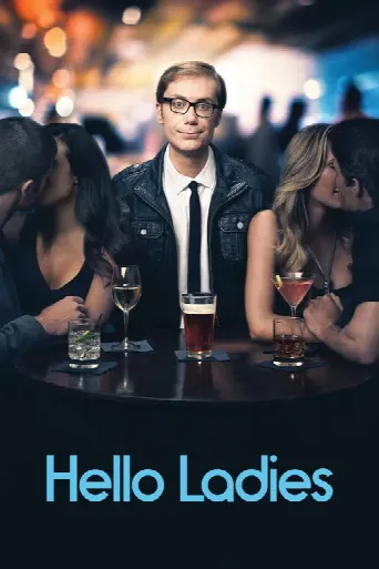 Hello Ladies (2013) poster