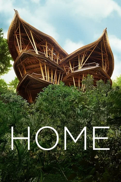 Home (2020) poster