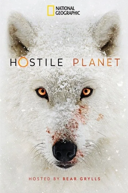 Hostile Planet (2019) poster