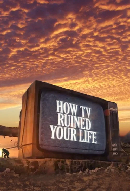 How TV Ruined Your Life (2011) poster