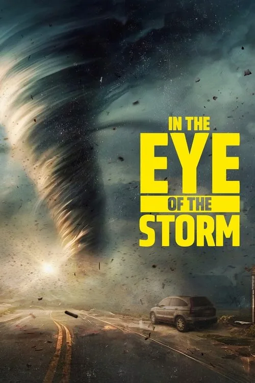 In the Eye of the Storm (2024) poster