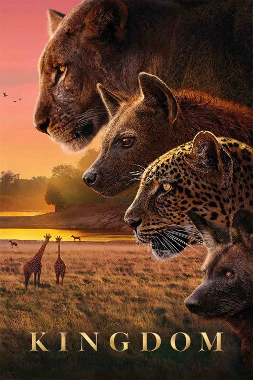 Kingdom (2025) poster