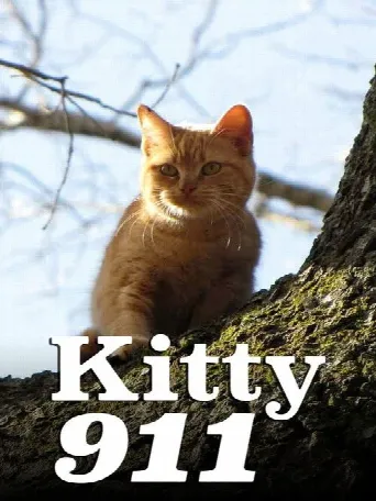 Kitty 911 (2016) poster