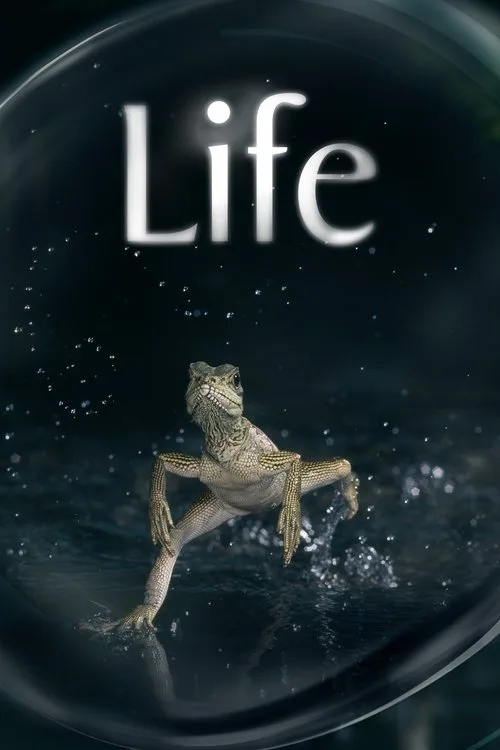 Life (2009) poster