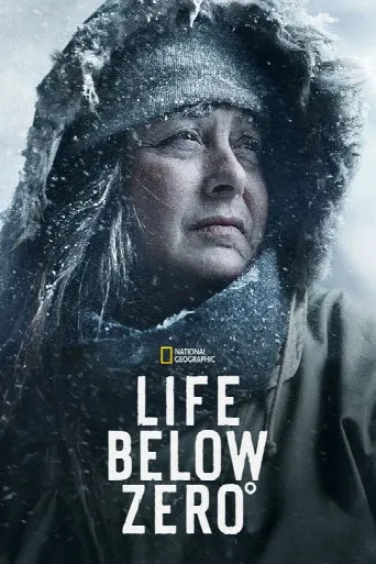 Life Below Zero (2013) poster