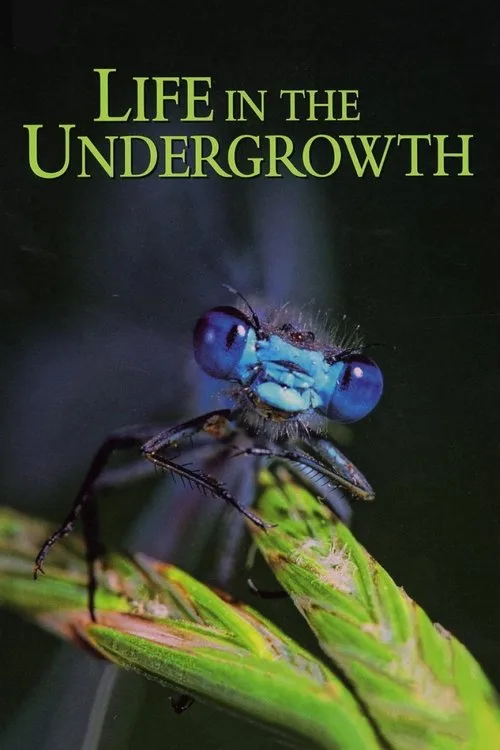 Life in the Undergrowth (2005) poster