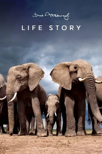Life Story (2014) poster