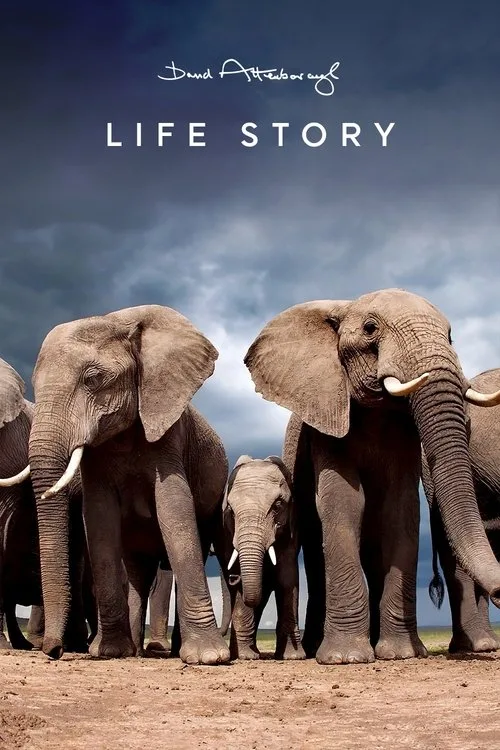 Life Story (2014) poster