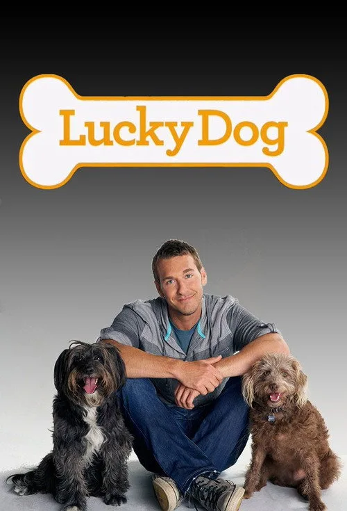 Lucky Dog (2013) poster