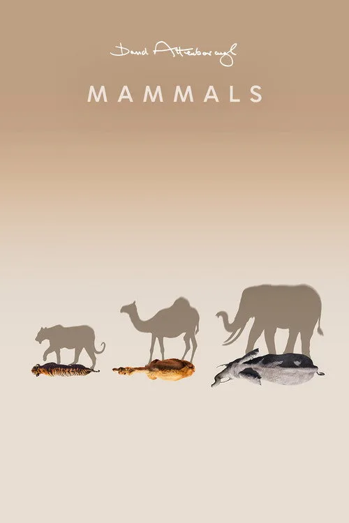 Mammals (2024) poster