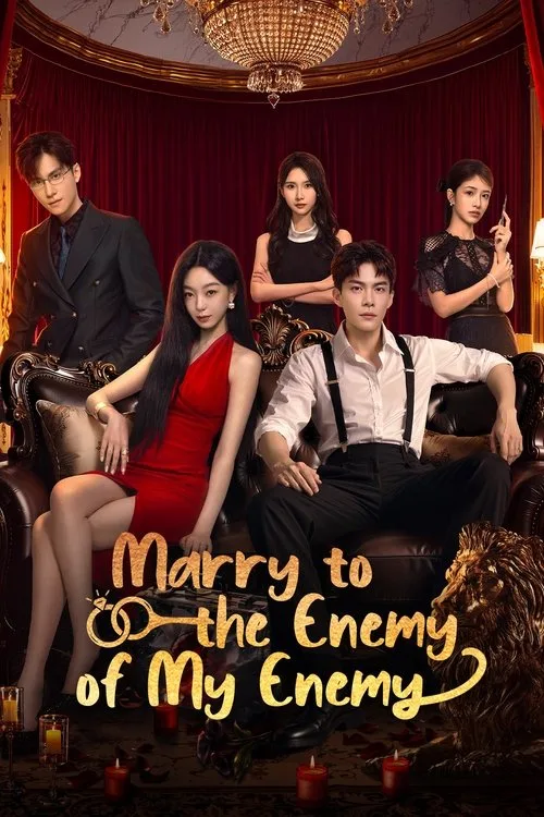Marry to the Enemy of My Enemy (2025) poster