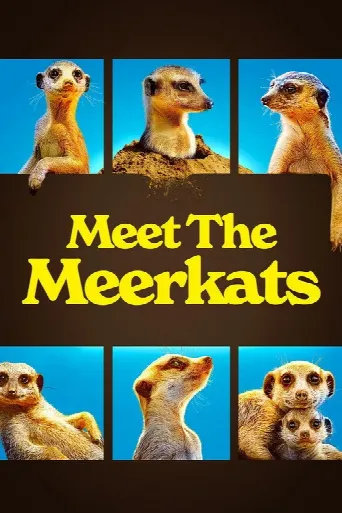 Meet The Meerkats (2021) poster
