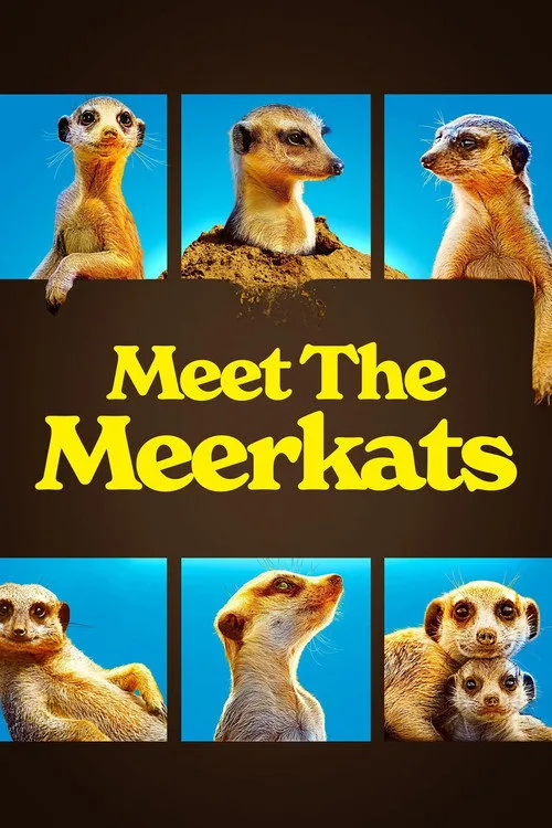 Watch Meet The Meerkats (2021) online free - poster