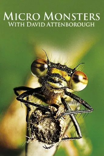 Micro Monsters 3D with David Attenborough (2013) poster