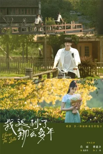 Never Too Late (2022) poster