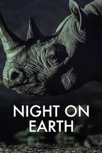 Night on Earth (2020) poster