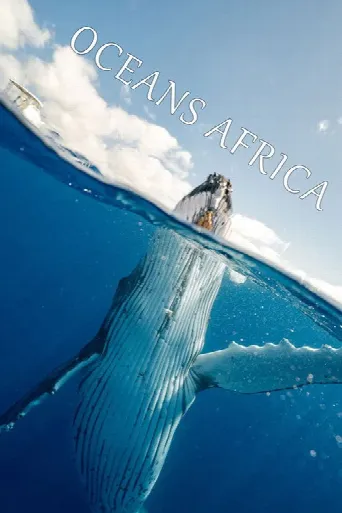 Oceans Africa (2025) poster
