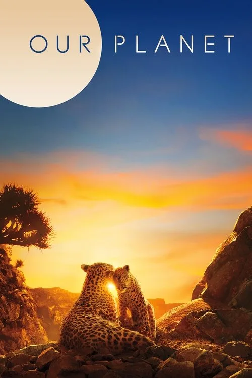Our Planet (2019) poster