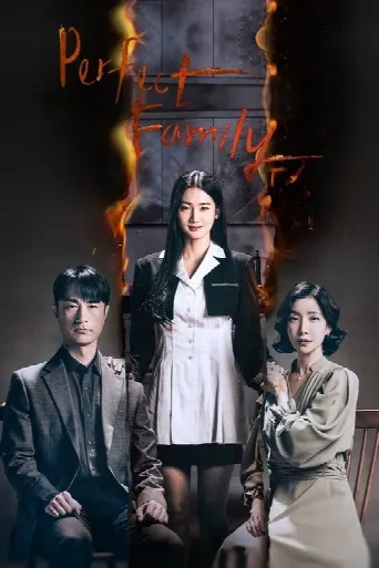 Perfect Family (2024) poster