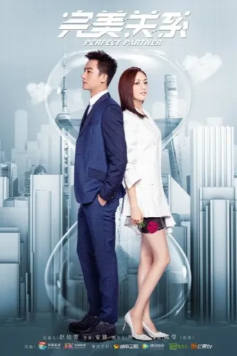 Perfect Partner (2020) poster