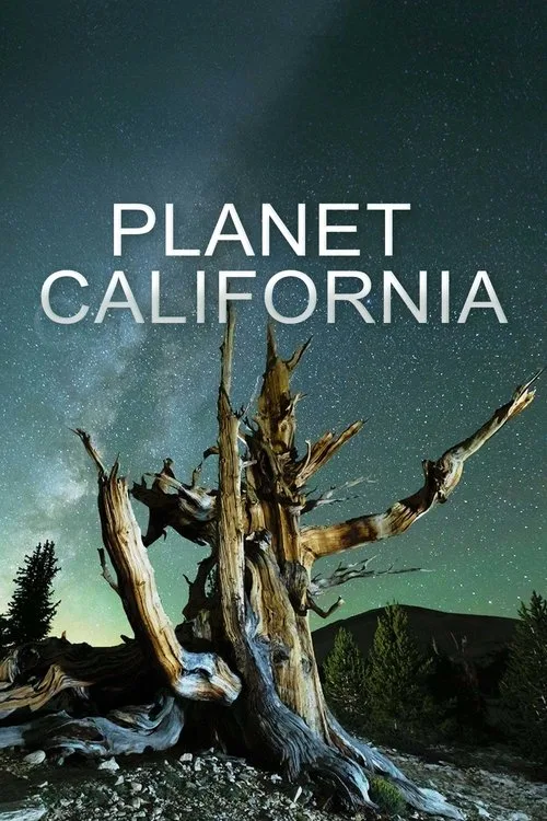 Planet California (2022) poster