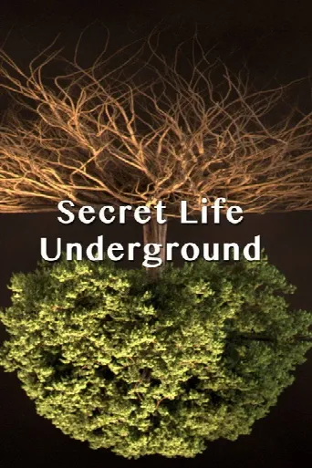 Secret Life Underground (2015) poster