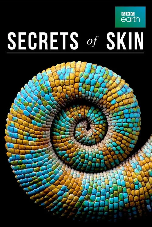 Secrets of Skin (2019) poster