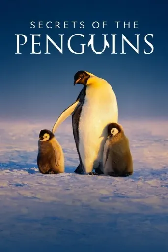 Secrets of the Penguins (2025) poster