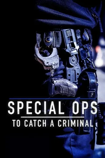 Special Ops: To Catch A Criminal (2025) poster