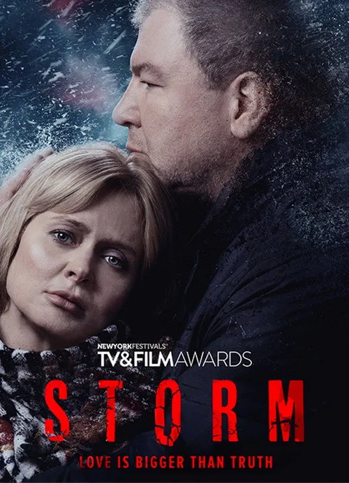 Storm (2019) poster