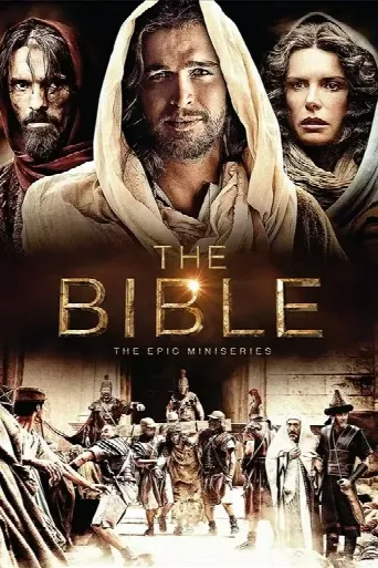 The Bible (2013) poster