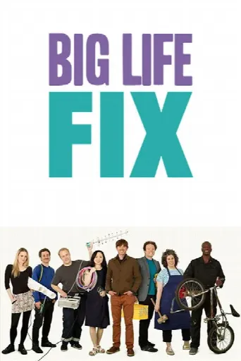 The Big Life Fix (2016) poster