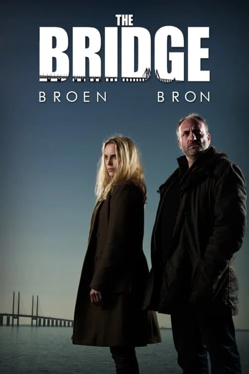 The Bridge (2011) poster