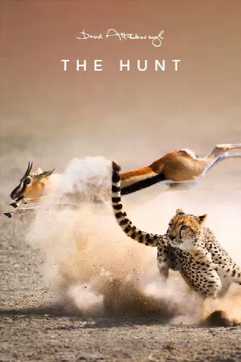 The Hunt (2015) poster