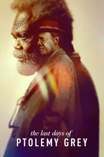 The Last Days of Ptolemy Grey (2022) poster