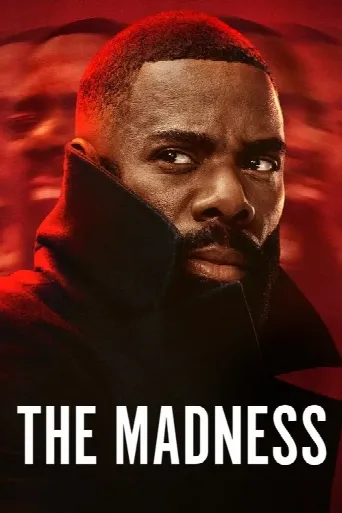 The Madness (2024) poster