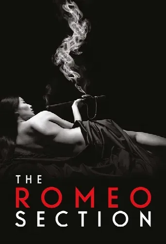 The Romeo Section (2015) poster