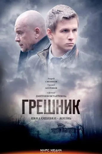 The Sinner (2014) poster