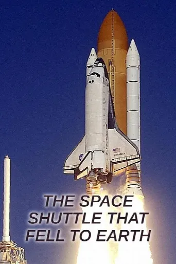 The Space Shuttle That Fell to Earth (2024) poster