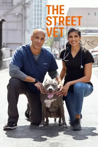 The Street Vet (2019) poster