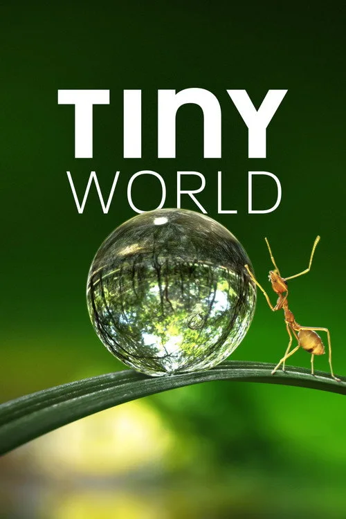 Watch Tiny World (2020) online free - poster