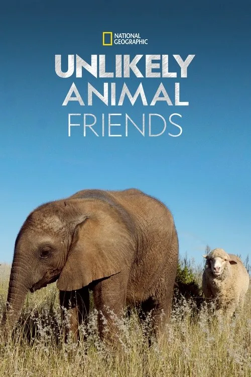 Unlikely Animal Friends (2012) poster