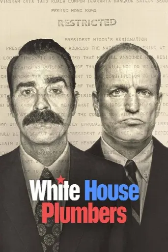 White House Plumbers (2023) poster